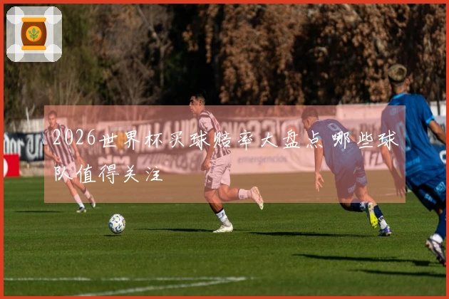 2026世界杯买球赔率大盘点 哪些球队值得关注