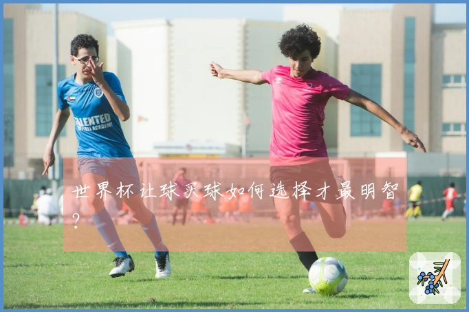 世界杯让球买球如何选择才最明智？