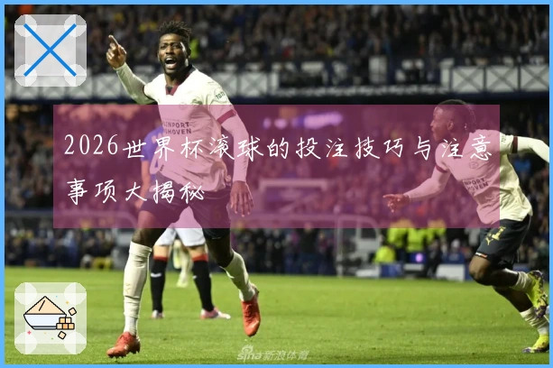 2026世界杯滚球的投注技巧与注意事项大揭秘