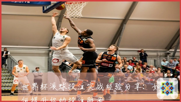 世界杯滚球投注实战经验分享：如何提升你的投注胜率