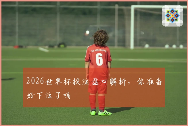 2026世界杯投注盘口解析，你准备好下注了吗