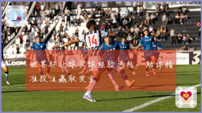 世界杯让球买球经验总结，助你精准投注赢取奖金