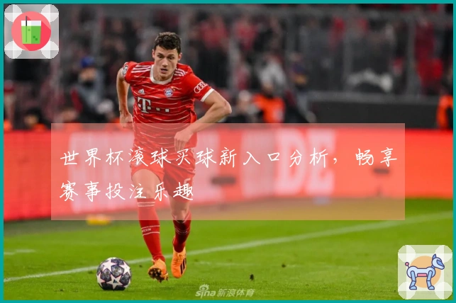 世界杯滚球买球新入口分析，畅享赛事投注乐趣