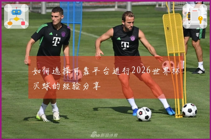 如何选择可靠平台进行2026世界杯买球的经验分享