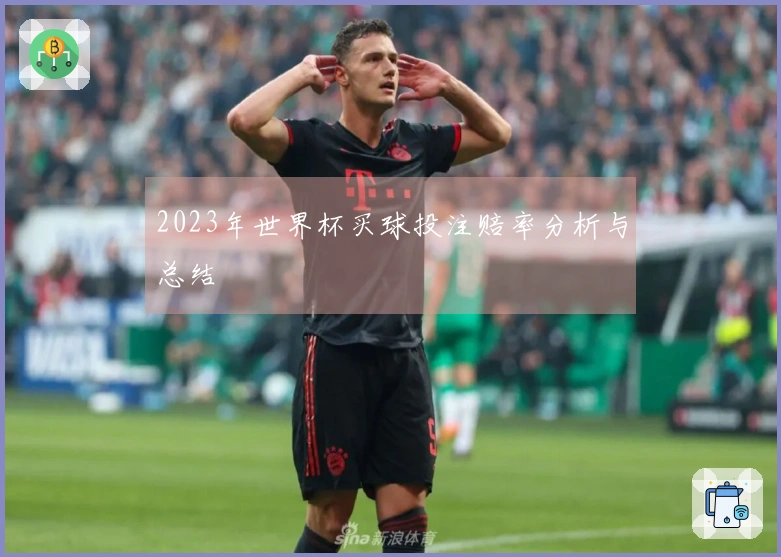 2023年世界杯买球投注赔率分析与总结
