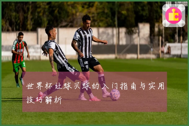 世界杯让球买球的入门指南与实用技巧解析