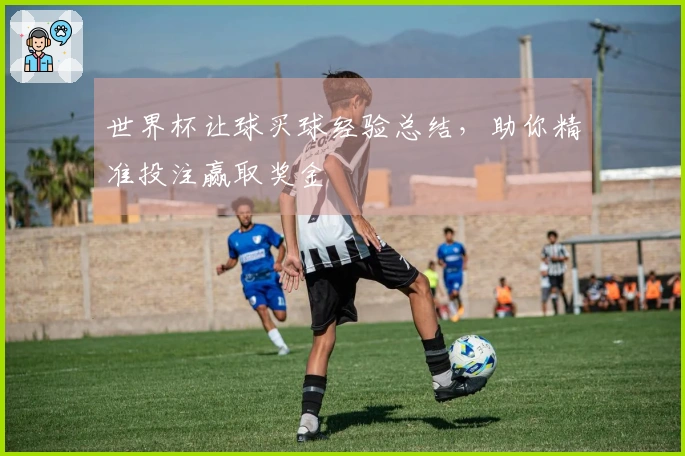 世界杯让球买球经验总结，助你精准投注赢取奖金