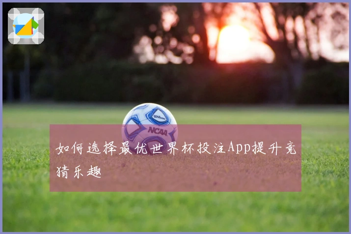 如何选择最优世界杯投注App提升竞猜乐趣